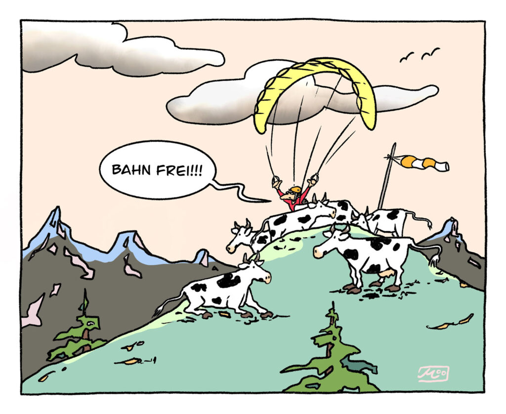 Cartoon Gleitschirmflieger versucht umzingelt von Kühen zu starten