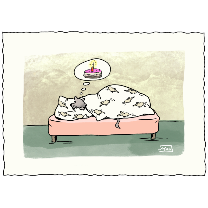Katze am träumen